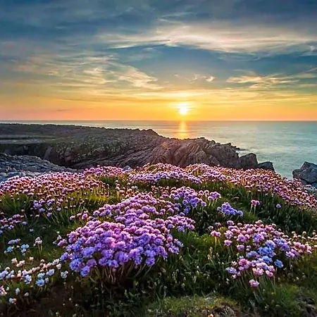 Ostan Oilean Thorai Tory Island * Donegal Town